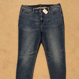 J.Crew 10 inch High Rise Skinny Jeans